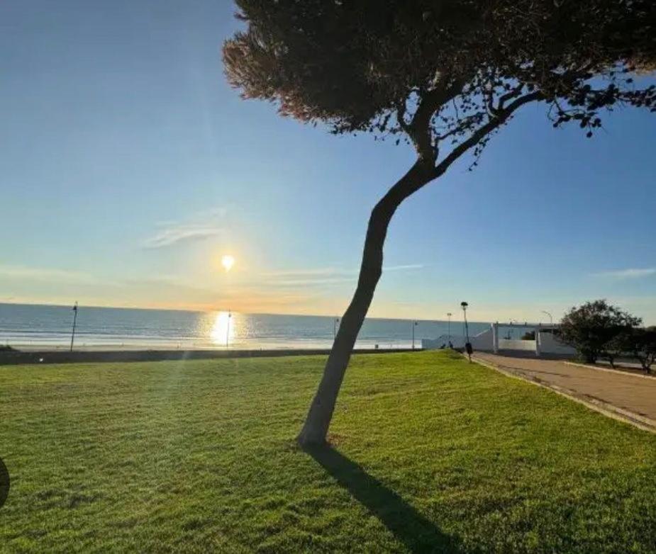 Apartamento La Fontanilla Conil De La Frontera Exteriér fotografie